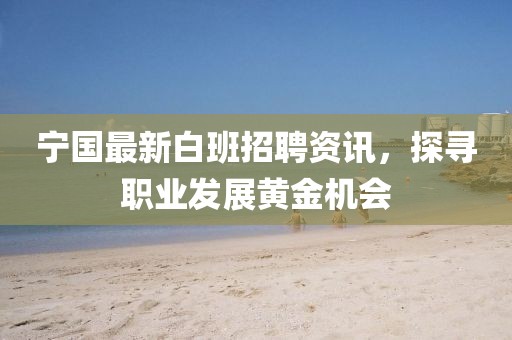 寧國最新白班招聘資訊，探尋職業發展黃金機會