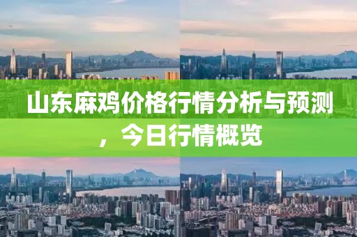 山東麻雞價格行情分析與預測，今日行情概覽