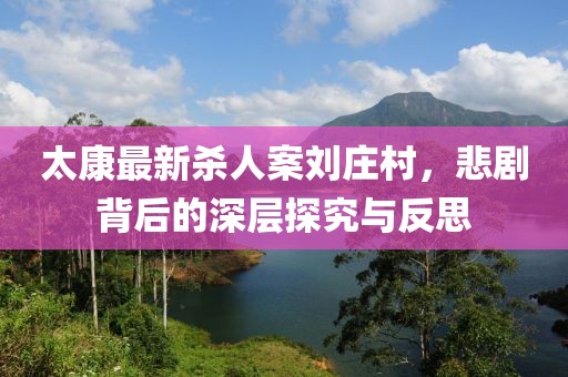 太康最新殺人案劉莊村，悲劇背后的深層探究與反思