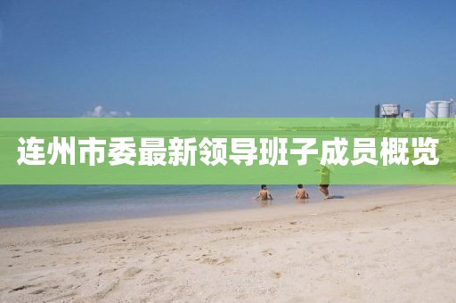 連州市委最新領導班子成員概覽