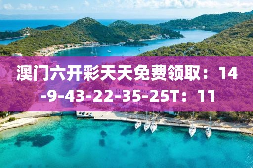 澳門六開彩天天免費領取：14-9-43-22-35-25T：11
