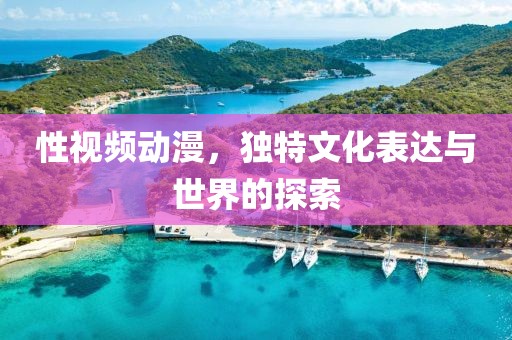 性視頻動漫，獨特文化表達與世界的探索