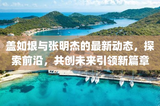 蓋如垠與張明杰的最新動態，探索前沿，共創未來引領新篇章