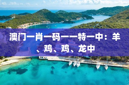 澳門一肖一碼一一特一中：羊、雞、雞、龍中