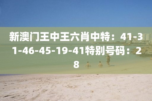 新澳門王中王六肖中特：41-31-46-45-19-41特別號碼：28