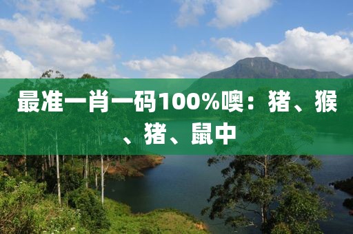 最準一肖一碼100%噢：豬、猴、豬、鼠中