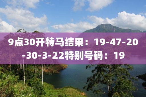 9點30開特馬結果：19-47-20-30-3-22特別號碼：19