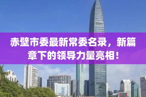 赤壁市委最新常委名錄，新篇章下的領導力量亮相！