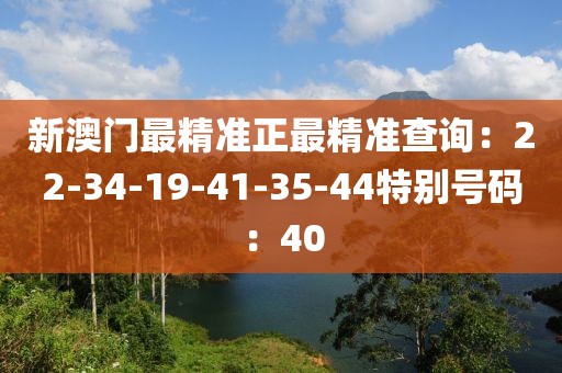 新澳門最精準正最精準查詢：22-34-19-41-35-44特別號碼：40