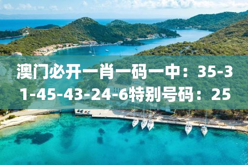 澳門必開一肖一碼一中：35-31-45-43-24-6特別號碼：25