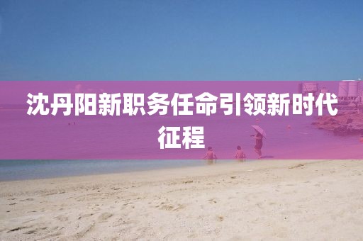 沈丹陽新職務任命引領新時代征程