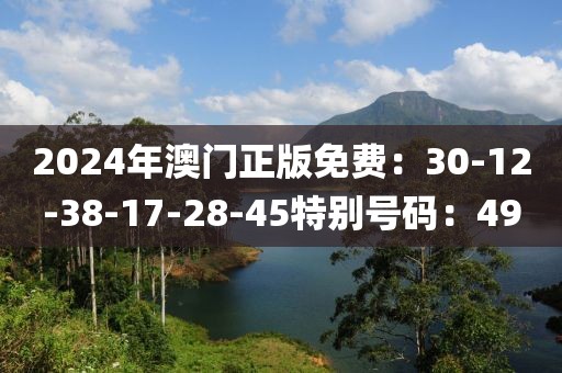 2024年澳門正版免費：30-12-38-17-28-45特別號碼：49