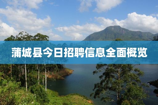 蒲城縣今日招聘信息全面概覽
