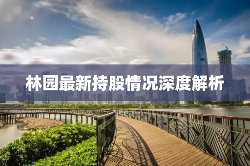 林園最新持股情況深度解析