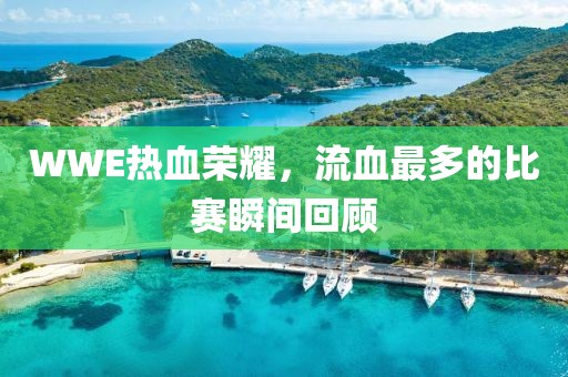 WWE熱血榮耀，流血最多的比賽瞬間回顧