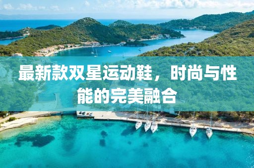 最新款雙星運動鞋，時尚與性能的完美融合