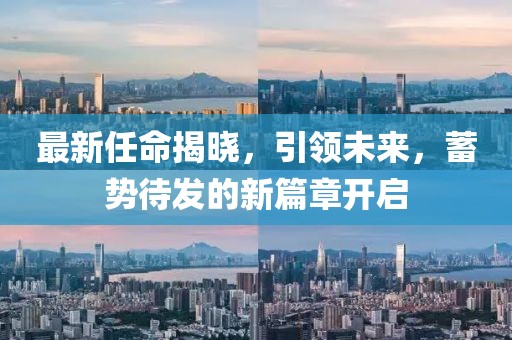 最新任命揭曉，引領未來，蓄勢待發的新篇章開啟