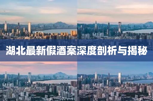 湖北最新假酒案深度剖析與揭秘