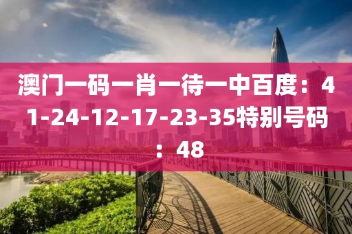 澳門一碼一肖一待一中百度：41-24-12-17-23-35特別號碼：48