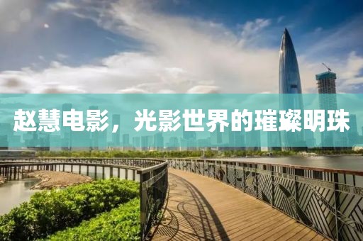 趙慧電影，光影世界的璀璨明珠