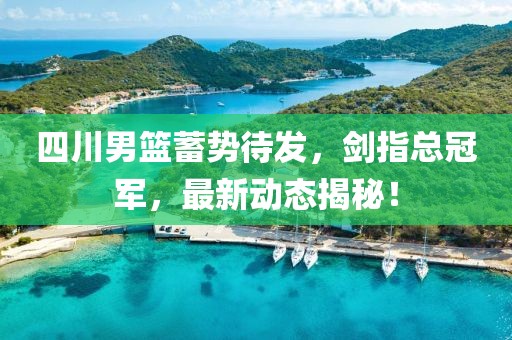 四川男籃蓄勢待發，劍指總冠軍，最新動態揭秘！