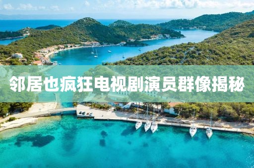 鄰居也瘋狂電視劇演員群像揭秘