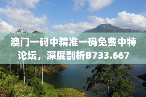 澳門一碼中精準一碼免費中特論壇，深度剖析B733.667