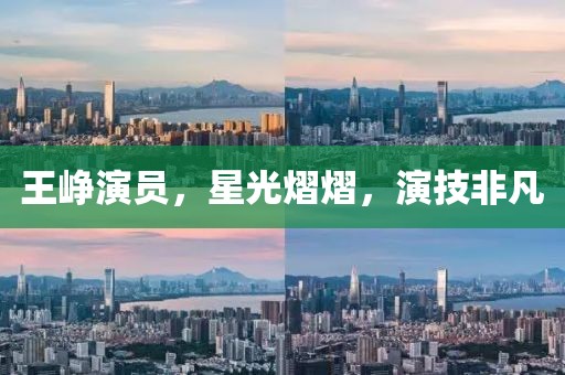 王崢演員，星光熠熠，演技非凡