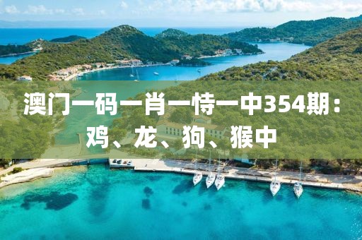 澳門一碼一肖一恃一中354期：雞、龍、狗、猴中