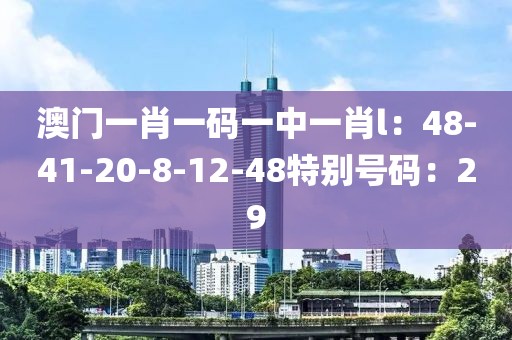 澳門一肖一碼一中一肖l：48-41-20-8-12-48特別號碼：29