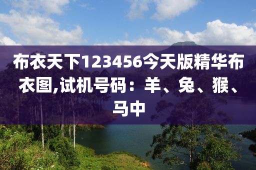 布衣天下123456今天版精華布衣圖,試機號碼：羊、兔、猴、馬中
