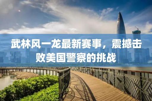 武林風一龍最新賽事，震撼擊敗美國警察的挑戰