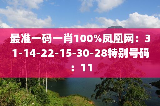 最準一碼一肖100%鳳凰網：31-14-22-15-30-28特別號碼：11