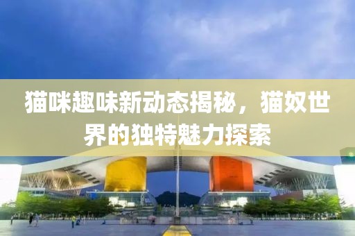 貓咪趣味新動態揭秘，貓奴世界的獨特魅力探索