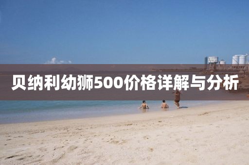 貝納利幼獅500價格詳解與分析