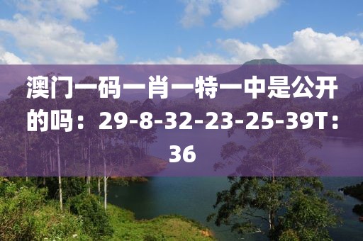 澳門一碼一肖一特一中是公開的嗎：29-8-32-23-25-39T：36