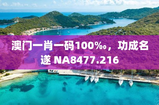 澳門一肖一碼100‰，功成名遂 NA8477.216