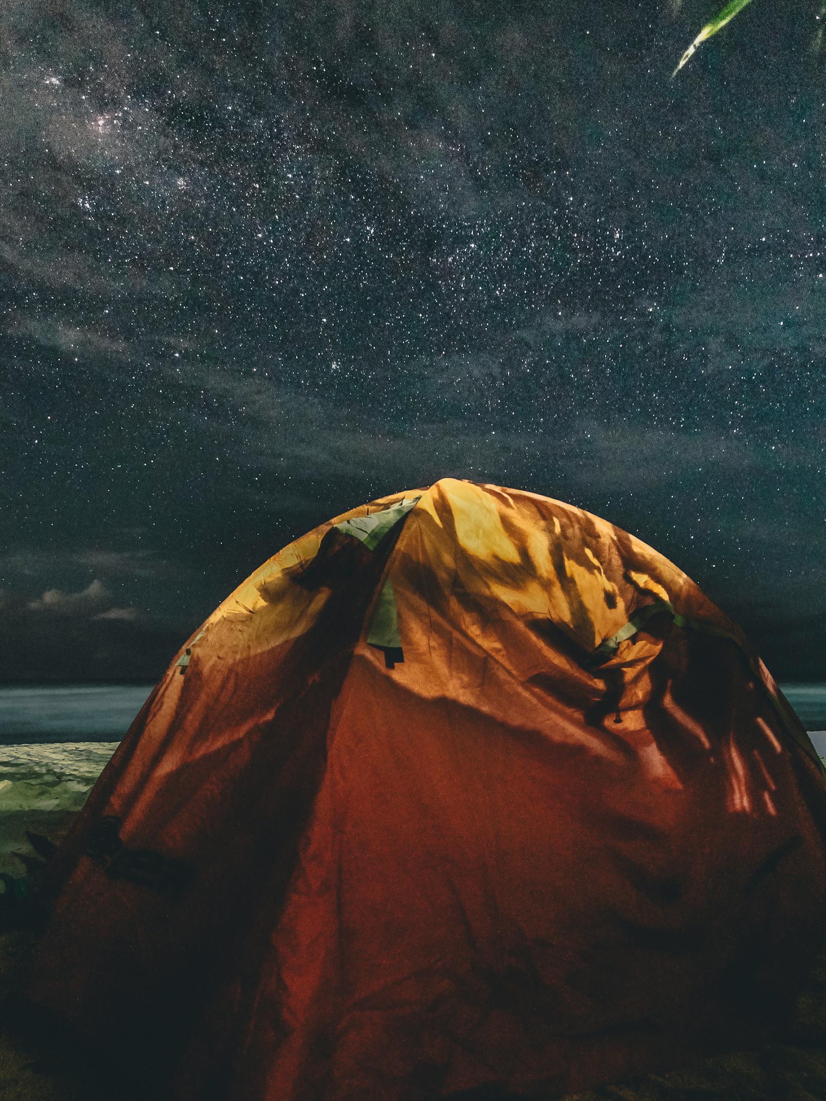 荒野求生全明星，超越極限的生存挑戰之旅