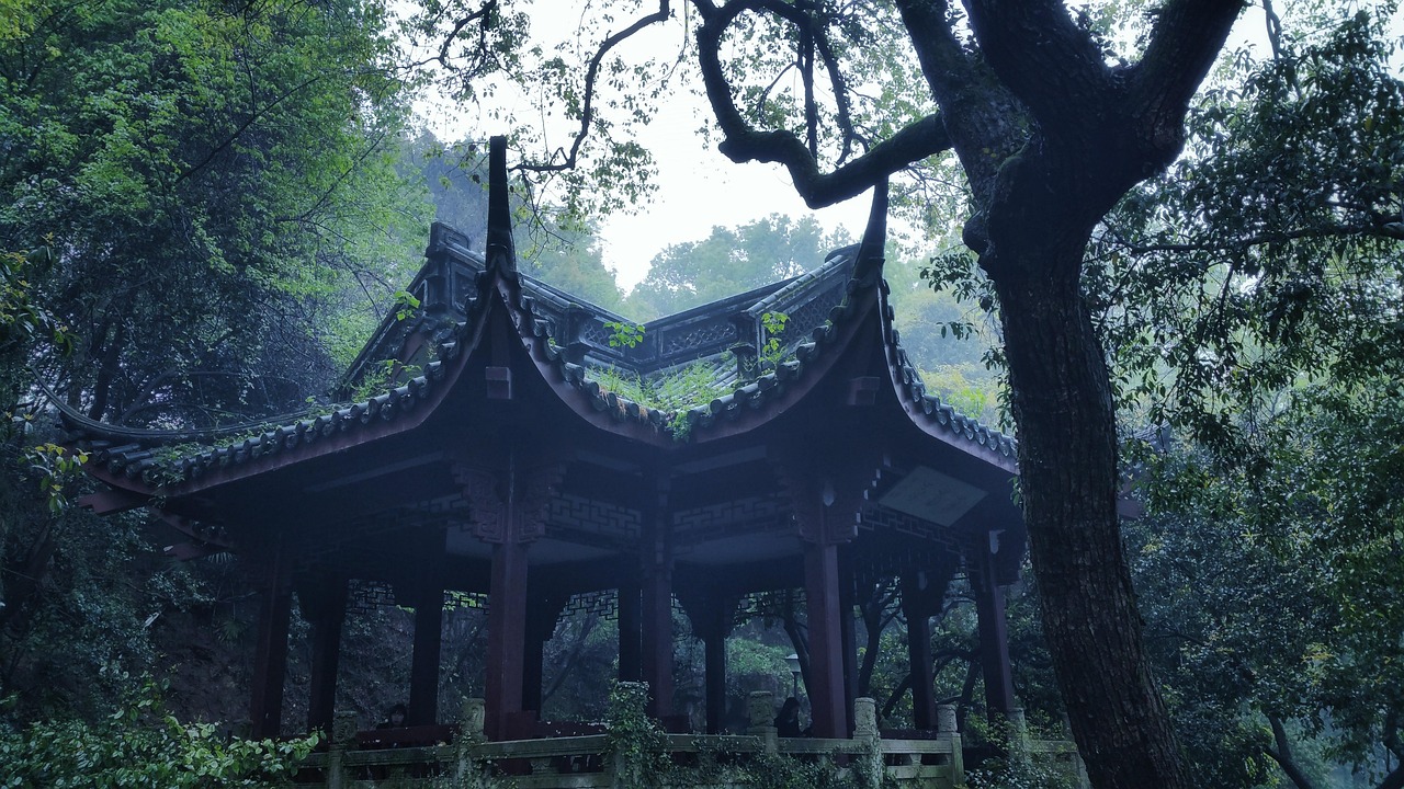 古詩詞朗誦比賽視頻，傳承文化之美，展現詩詞韻味