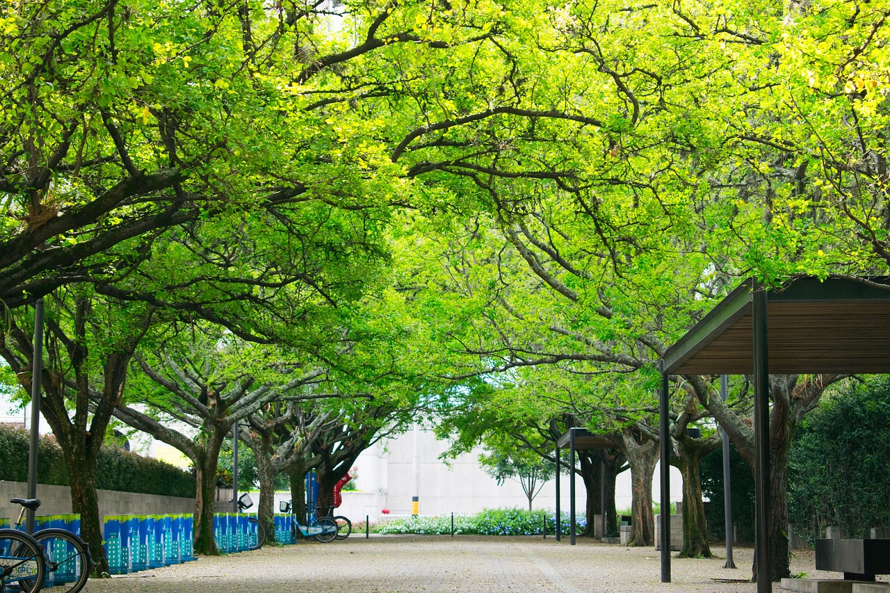 北京霧霾防治新舉措，重塑綠色城市的探索之路