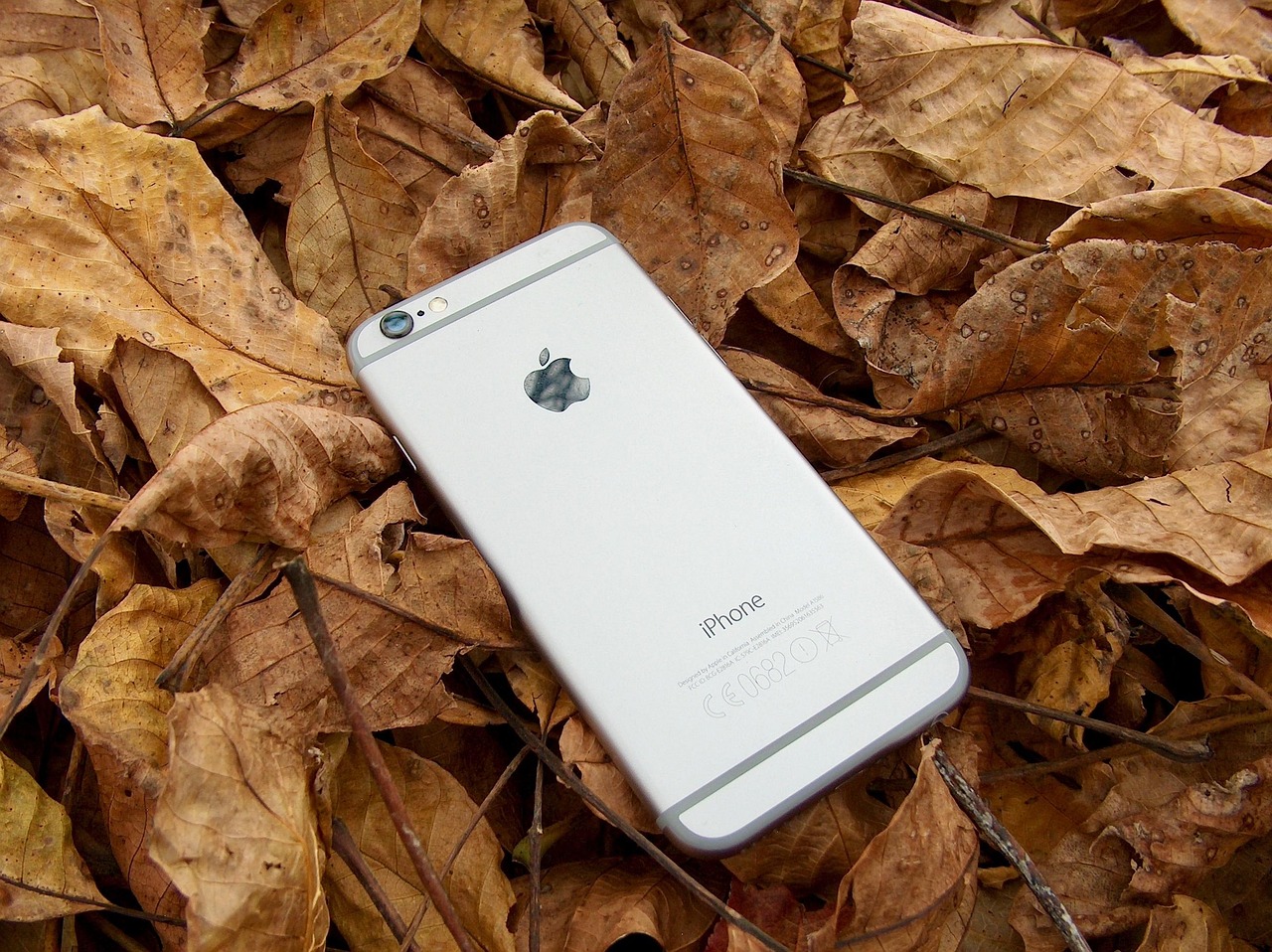 蘋果官網iPhone 14 Pro價格詳解