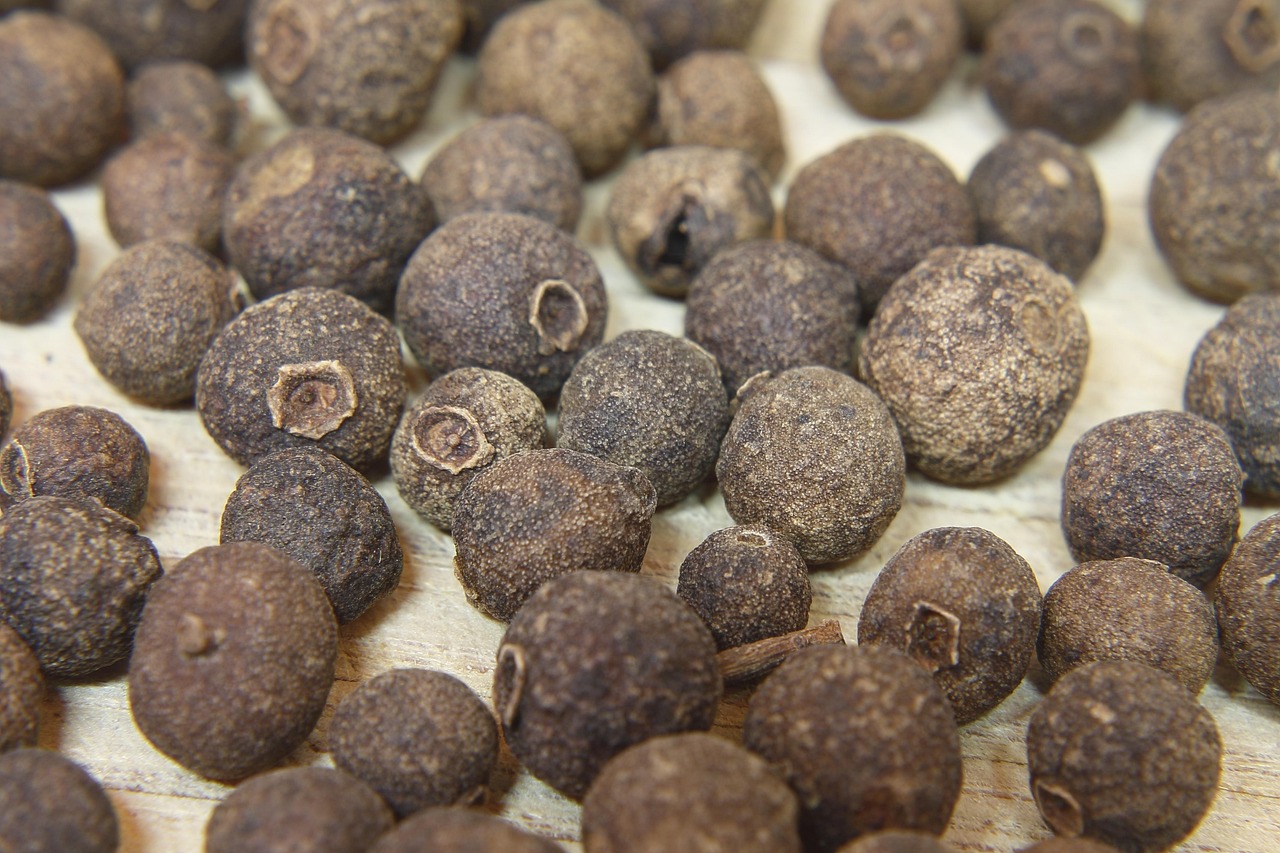 探索未知美味果實，枇杷新品種介紹